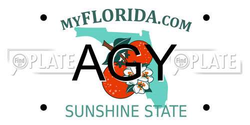 AGY Florida License Plate