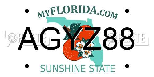 AGYZ88 Florida License Plate