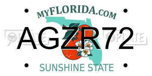 AGZR72 Florida License Plate