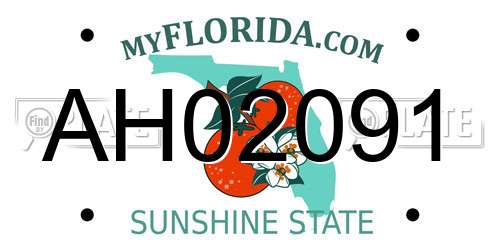AH02091 Florida License Plate