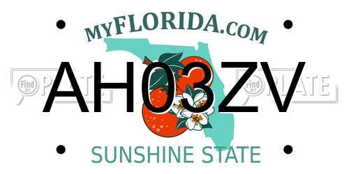 AH03ZV Florida License Plate