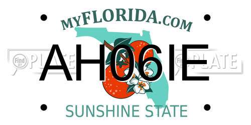AH06IE Florida License Plate