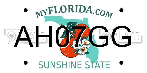 AH07GG Florida License Plate