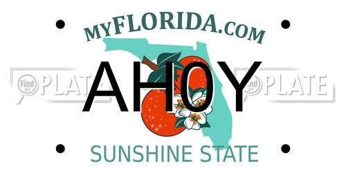 AH0Y Florida License Plate