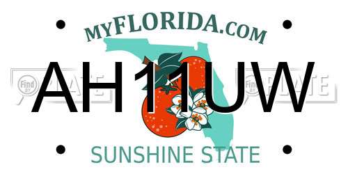 AH11UW Florida License Plate
