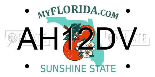 AH12DV Florida License Plate