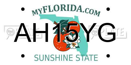 AH15YG Florida License Plate