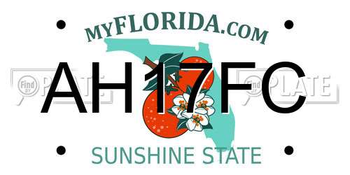 AH17FC Florida License Plate