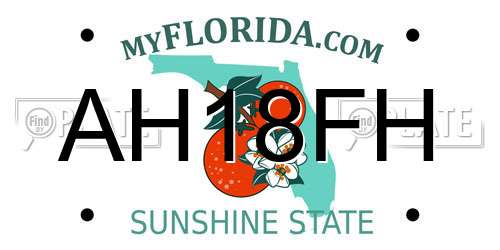 AH18FH Florida License Plate