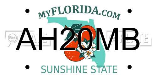 AH20MB Florida License Plate