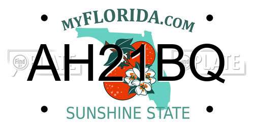 AH21BQ Florida License Plate