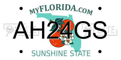 AH24GS Florida License Plate
