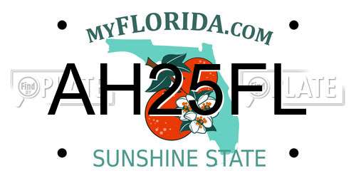 AH25FL Florida License Plate