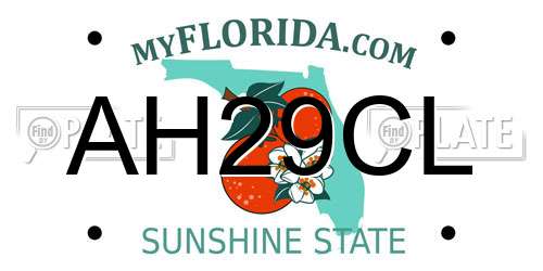 AH29CL Florida License Plate