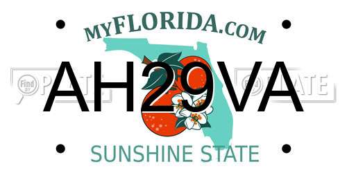 AH29VA Florida License Plate