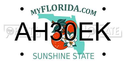 AH30EK Florida License Plate