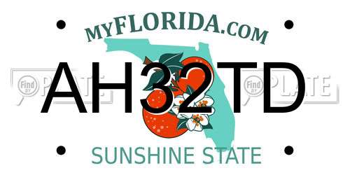 AH32TD Florida License Plate