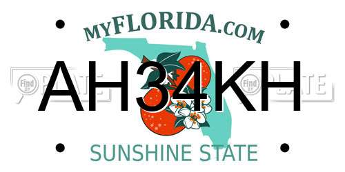 AH34KH Florida License Plate