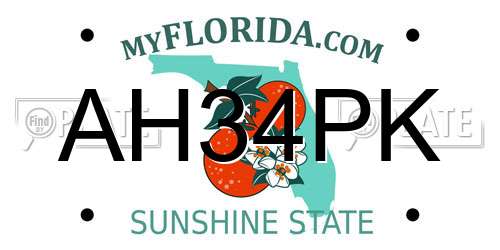 AH34PK Florida License Plate
