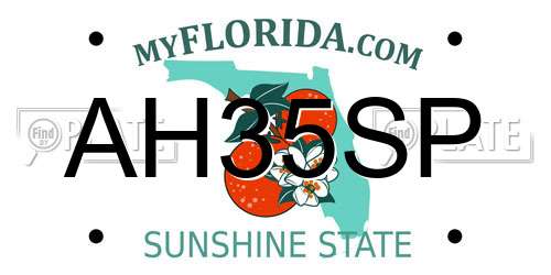 AH35SP Florida License Plate