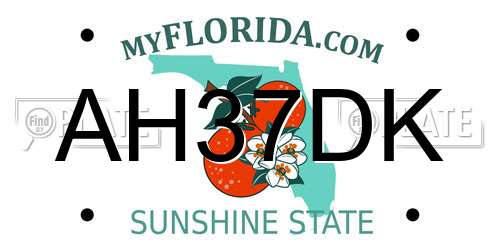 AH37DK Florida License Plate