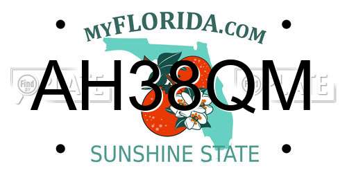AH38QM Florida License Plate