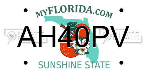 AH40PV Florida License Plate