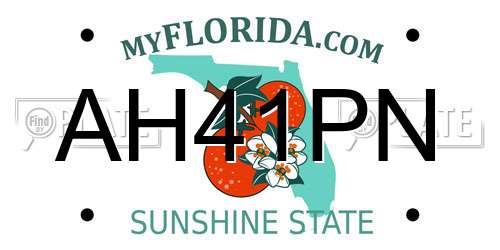AH41PN Florida License Plate