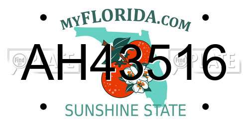 AH43516 Florida License Plate
