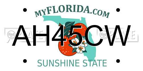 AH45CW Florida License Plate