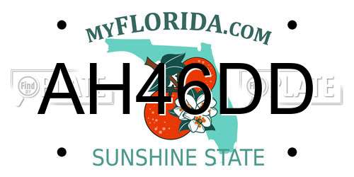 AH46DD Florida License Plate