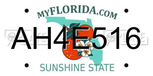 AH4E516 Florida License Plate