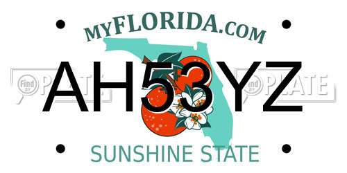 AH53YZ Florida License Plate