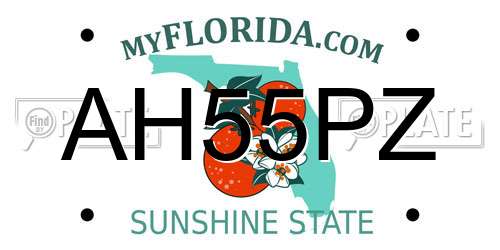 AH55PZ Florida License Plate