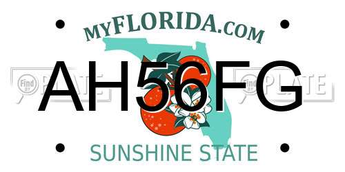 AH56FG Florida License Plate