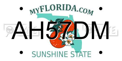AH57DM Florida License Plate