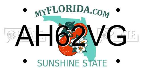 AH62VG Florida License Plate
