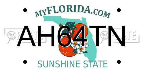 AH64TN Florida License Plate