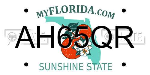 AH65QR Florida License Plate