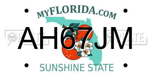 AH67JM Florida License Plate
