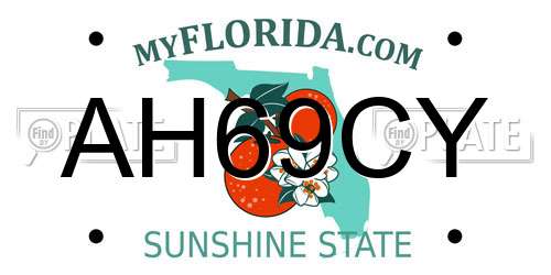 AH69CY Florida License Plate