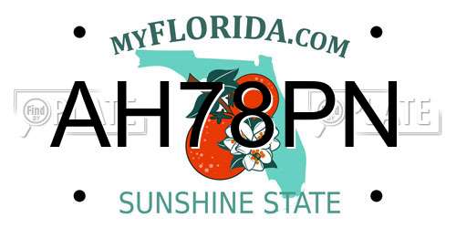 AH78PN Florida License Plate