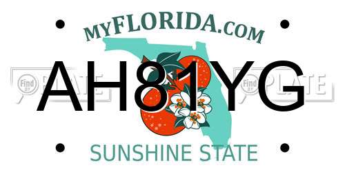 AH81YG Florida License Plate