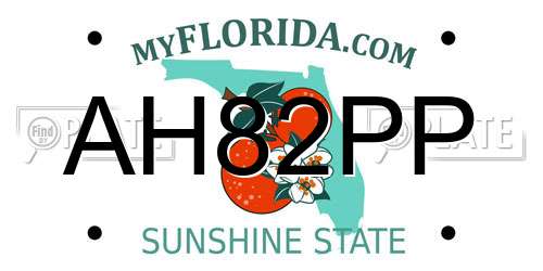 AH82PP Florida License Plate
