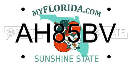 AH85BV Florida License Plate