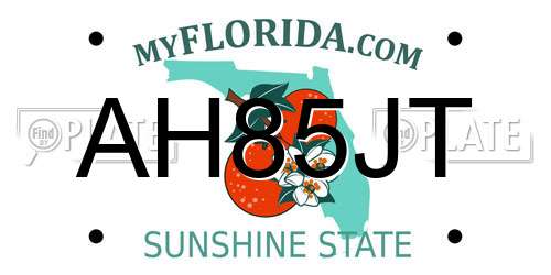 AH85JT Florida License Plate