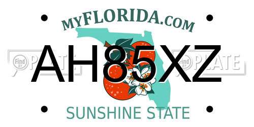 AH85XZ Florida License Plate