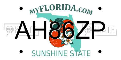 AH86ZP Florida License Plate