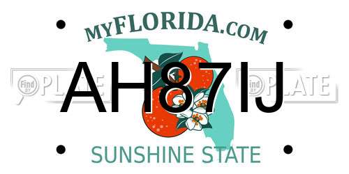 AH87IJ Florida License Plate
