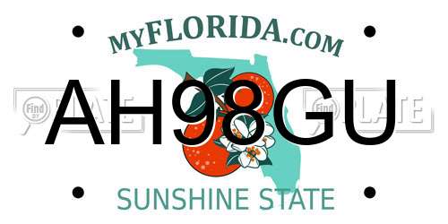 AH98GU Florida License Plate